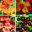 JMS 100Pcs Tropaeolum Majus Nasturtium Seeds - Mixed Colors