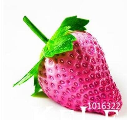 JMS 50Pcs Rare Purple Strawberry Seeds