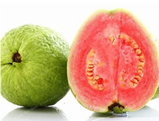 JMS 100Pcs Guava Seeds