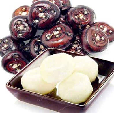 JMS 100Pcs Chinese Water Chestnut Seed Herbaceous Aquatic Plants