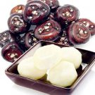 JMS 100Pcs Chinese Water Chestnut Seed Herbaceous Aquatic Plants
