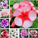 JMS 30Pcs Mixed 8 Colors Of Geranium Seeds
