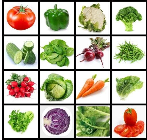 JMS America'S Favorite Vegetable Seeds, Non Hybrid Variety, Non Gmo In Heat Sealed Mylar Bag
