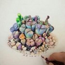 JMS 100 Pcs Beauty Mixed Mini Lithops Bonsai Plants Cactus Bonsai Plants Organic Garden Succulent Bo