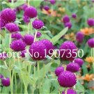 JMS 100 Pcs Gomphrenae Globosa Bonsai, Purple Flower Globe Amaranth,Garden Bonsai Flower Pots, Plant