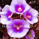 JMS New !100 Pcs Double Hollyhock Flower Bonsai, Mixed Perennial Home Garden Decoration Rare Potted 