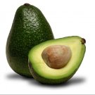JMS Hot Sale! 10Pcs Avocado Seeds Green Fruit Very Delicious Persea Americana Mill Pear Seed Easy To