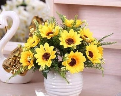 JMS 24 Kinds Different Flower Plant Bonsai Seedss Indoor Potted Seedsplants Exotic Suculenta Seedsfl