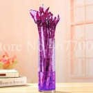 JMS 10 Pcs Rainbow Lucky Bamboo Bonsai Small Potted Plants Purify Dracaena Plantas,Planting Simple F