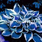 JMS 150 Pcs Beautiful Hosta Bonsai, Perennials Lily Flower Shade Hosta Flower Grass Bonsai Ornamenta