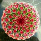JMS 200 Pcs/Pack Egg Succulents Bonsai Echinopsis Tubiflora Cactus Flores Rare Flower Lithops Pots P