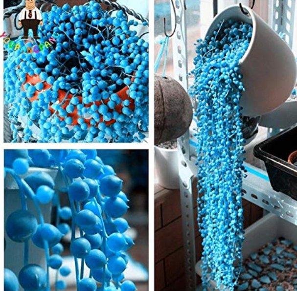 JMS 300Pcs Succulents Flower Plants Beautiful Rare Planta For A Perenial Garden Bonsai Tree Plant Fo