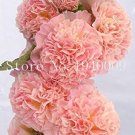 JMS 200 Pcs/Bag Double Hollyhock Outdoor Blooming Subtropical Bonsai Potted Althaea Rosea Flower Pla