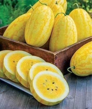 JMS 100Pcs Watermelon Seeds Yellow Skin Yellow Inside