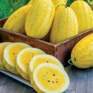JMS 100Pcs Watermelon Seeds Yellow Skin Yellow Inside