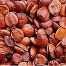 JMS 3000Pcs Ziziphus Jujuba