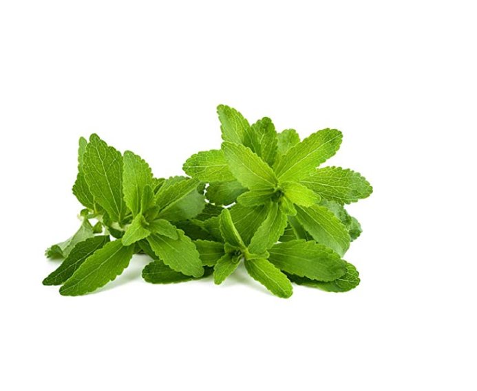 JMS 400 Stevia Seeds, Stevia Herbs Seeds Green Herb, Stevia Rebaudiana Semillas For Garden Planting 
