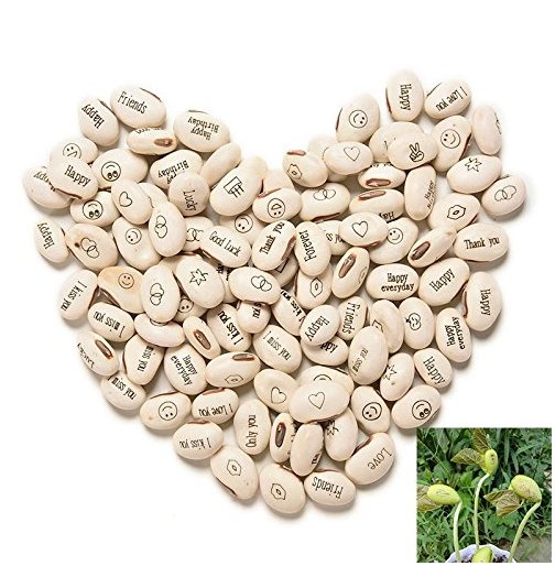 JMS 100Pcs Lot Mini Magic White Bean Seeds Gift Plant Growing Message Word Love Office Home