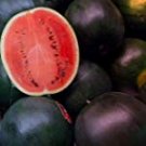 JMS 50Pcs Black Diamond Watermelon Seeds Black Skin Red Inside Fruits Thin Skin