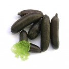 JMS 20Pcs Finger Limes Black Skin Green Inside Fruit Seeds Organic Juicy Perennial Imported Heirloom