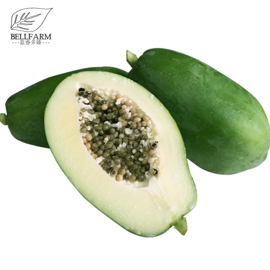 JMS  6Pcs Guangxi Green Skin White Inside Giant Papaya Fruit Seeds Heirloom Pawpaw Fruits Great For 