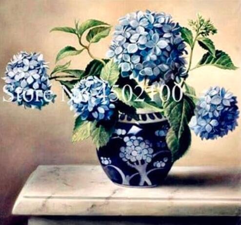 JMS Hydrangea Dwarf Seed,Hydrangea Beautiful China Hydrangea Flower Plant,Natural Growth For Home & 