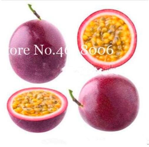 JMS Passion Fruit Seed (Passiflora Incarnata),Potted Plant,Tropical Vine Colorful Flower Plant For H