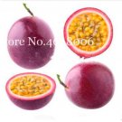 JMS Passion Fruit Seed (Passiflora Incarnata),Potted Plant,Tropical Vine Colorful Flower Plant For H