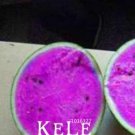 JMS Rare Purple Flesh Watermelon Seed Super Big Water Melon Plants For Home & Garden
