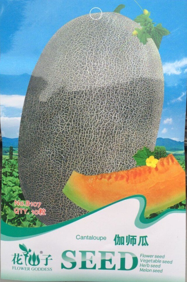 JMS Heirloom Big Cantaloupe Sweet Muskmelon Organic Seeds, Original Pack, 10 Seeds / Pack, Sweet Fru