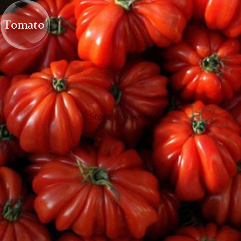 JMS Rare Zapotec Ruffled Bright Red Tomato, 100 Seeds, Tasty Edible Organic Fruits E3787