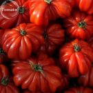 JMS Rare Zapotec Ruffled Bright Red Tomato, 100 Seeds, Tasty Edible Organic Fruits E3787