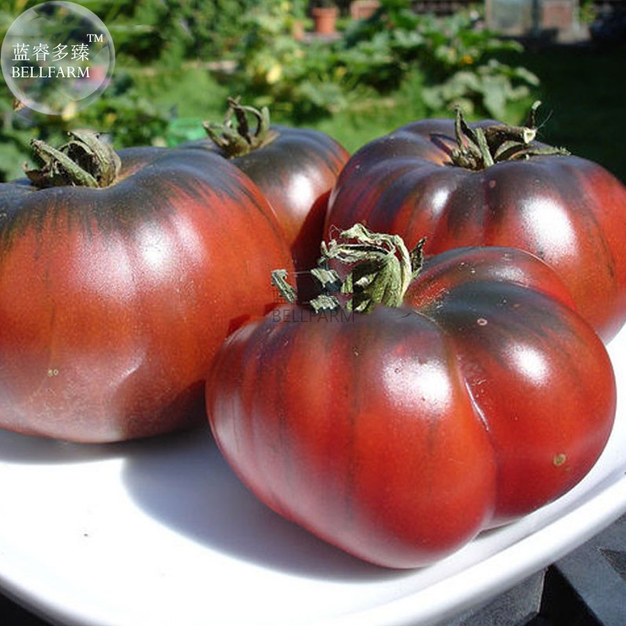 JMS  Heirloom Giant Black Krim Tomato Hybrid F2 Vegetables, 100 Seeds, Super Sweet Fruits E3835