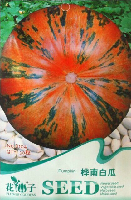JMS 1 Original Pack, 30 Seeds / Pack, Edible Large Orange Pumpkin With Green Stripe Seeds #B104