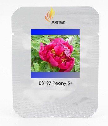 JMS Rare 'Red Flag Fly' Tree Peony Strong Fragrant Flower Seeds, Professional Pack, 5 Seeds / Pack, 