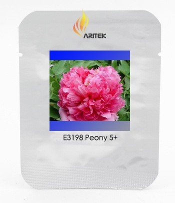 JMS Heirloom 'Jin Zhang Fu Rong' Big Red Peony Tree Seeds, Professional Pack, 5 Seeds / Pack, Strong