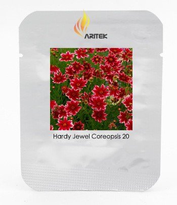 JMS Rare Hardy Multi-Color Jewel Ruby Frost Coreopsis Flower Seeds, Professional Pack, 20 Seeds / Pa