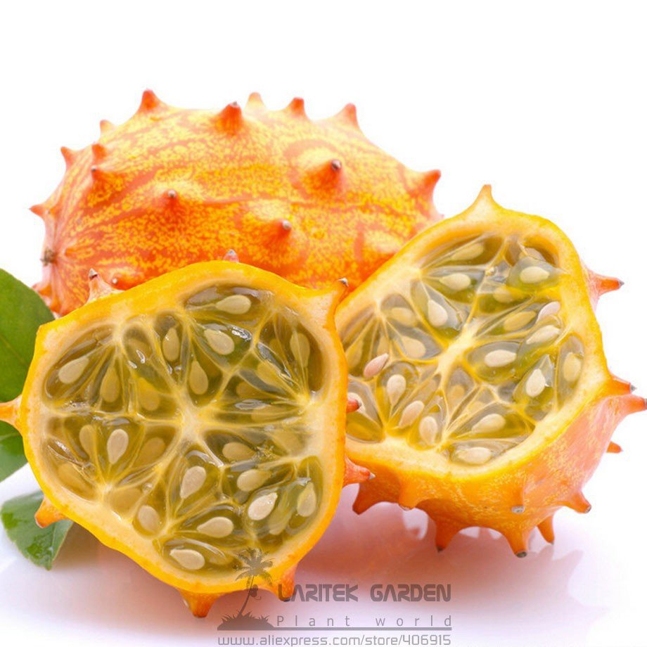 JMS Rare Heirloom African Horned Melon Seeds, Professional Pack, 50 Seeds / Pack, Cucumis Metuliferu