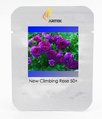 JMS New Dark Purple Climbing Rose Perennial Flower Organic Seeds, Professional Pack, 50 Seeds / Pack