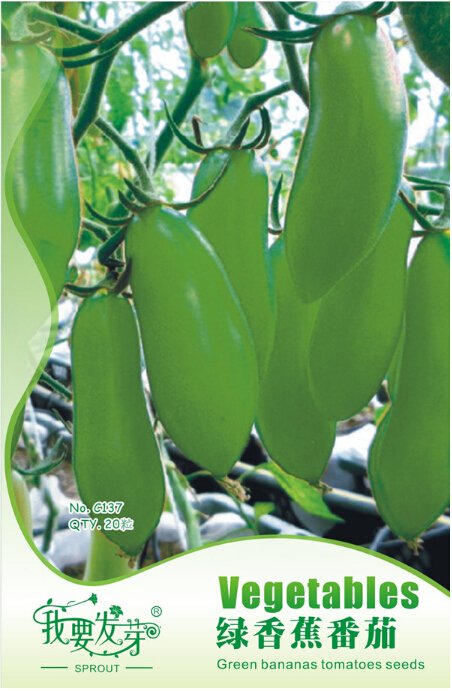 JMS Rare Green Long 'Banana' Tomato 'Lv Beauty' Organic Seeds, Original Pack, 20 Seeds / Pack, Tasty