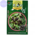JMS Lycium Ruthenicum 100% Genuine Black Goji Wolfberry With Black Skin, Original Pack, 30 Seeds, Ch