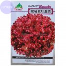 JMS Peking Fu Purple Red Lettuce, Original Pack, 1000 Seeds, Organic Tasty Salad Vegetables Lactuca
