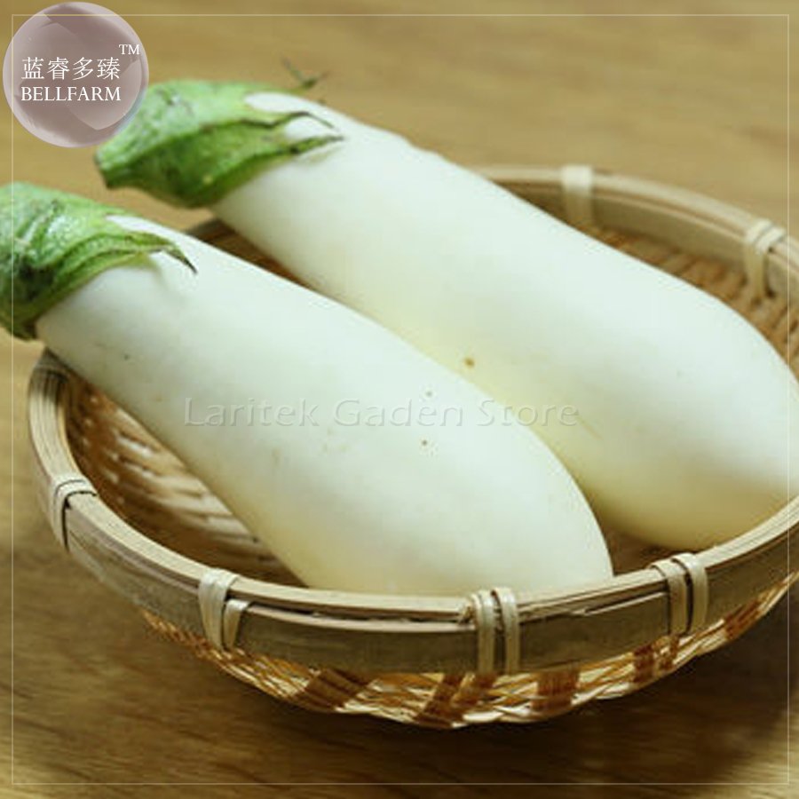 JMS Asian White Eggplant Seeds, 100 Seeds, Professional Pack, Big Organic Vegetables E4082
