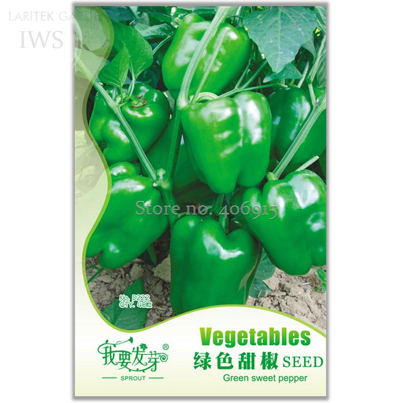 JMS Heirloom Organic Green Bell Sweet Pepper Seeds, Original Pack, 40 Seeds, Organic Vegetable Garde