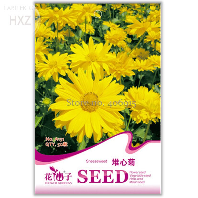 JMS Beautiful Sneezeweed Flower Seeds, 50 Seeds, Balcony Patio Potted Indoor Seasons Easy To Plant F