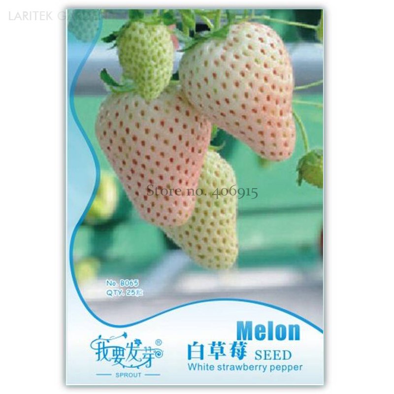 JMS Rare White Strawberry, Original Pack, 25 Seeds, Tasty Sweet Juicy Nutritious Fruits Iwsb065