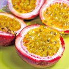 JMS Heirloom Purple Passion Fruits, Professional Pack, 40 Seeds, Passiflora Edulis Sour Sweet Egg Fr