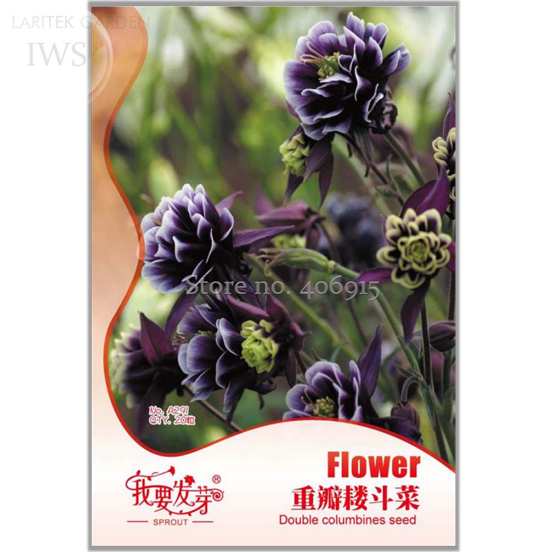 JMS Double Columbines Aquilegia Seeds, Original Pack, 20 Seeds, High Ornamental Value Flower Seeds I