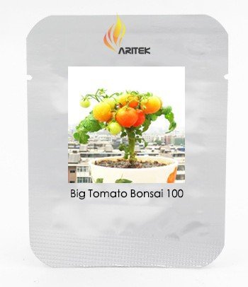 JMS Heirloom Bonsai Middle Dwarf Yellow Tomato Organic Seeds, Professional Pack, 100 Seeds / Pack, I