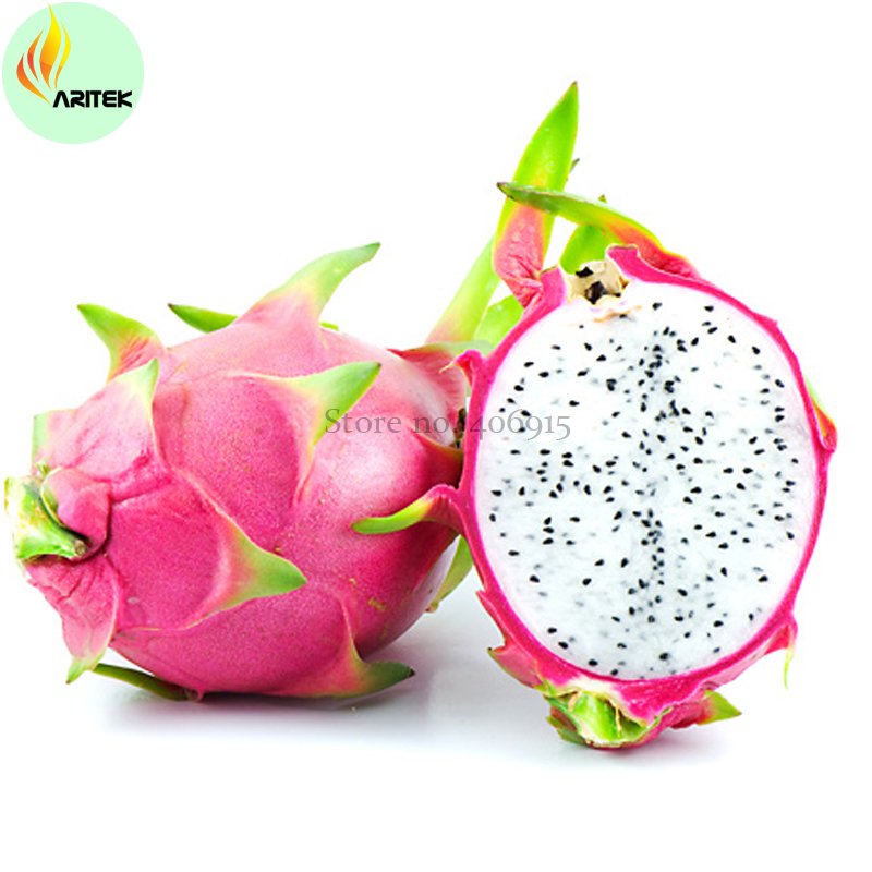 JMS Hainan White Dragon Fruit Hybrid Seeds, Professional Pack, 100 Seeds / Sweet, Tasty Sweet Fruit 